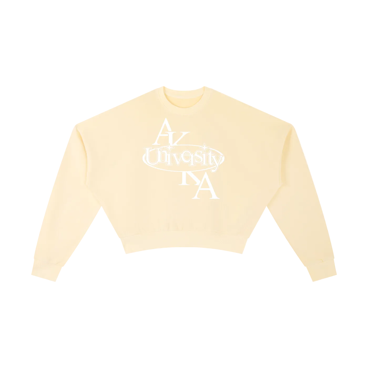 UNIVERSITY CROPPED SWEATSHIRT