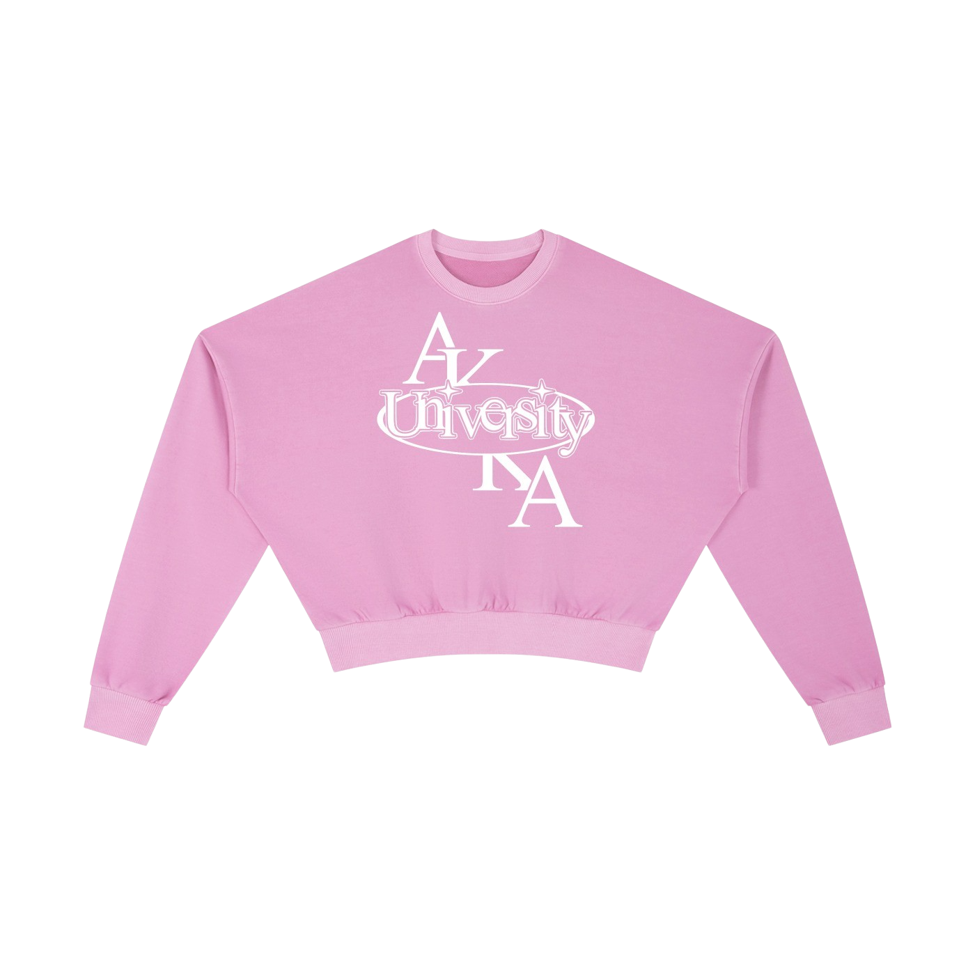 UNIVERSITY CROPPED SWEATSHIRT