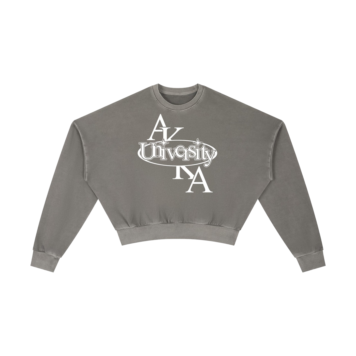 UNIVERSITY CROPPED SWEATSHIRT